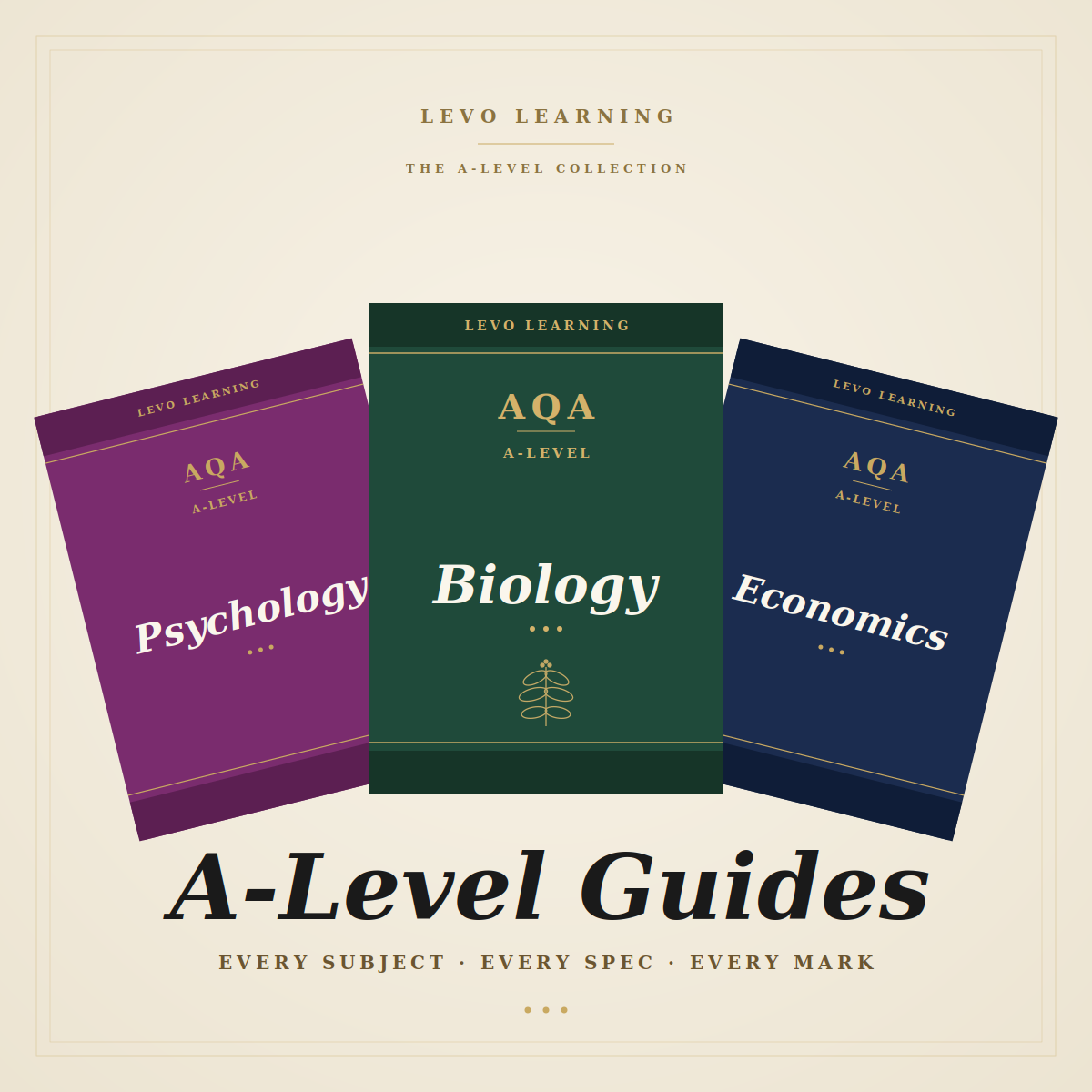 A level – LEVO