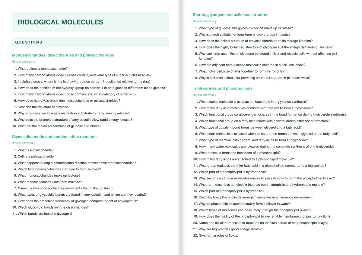 Edexcel A-Level Biology B Active Recall Guide: Questions - Biological Molecules