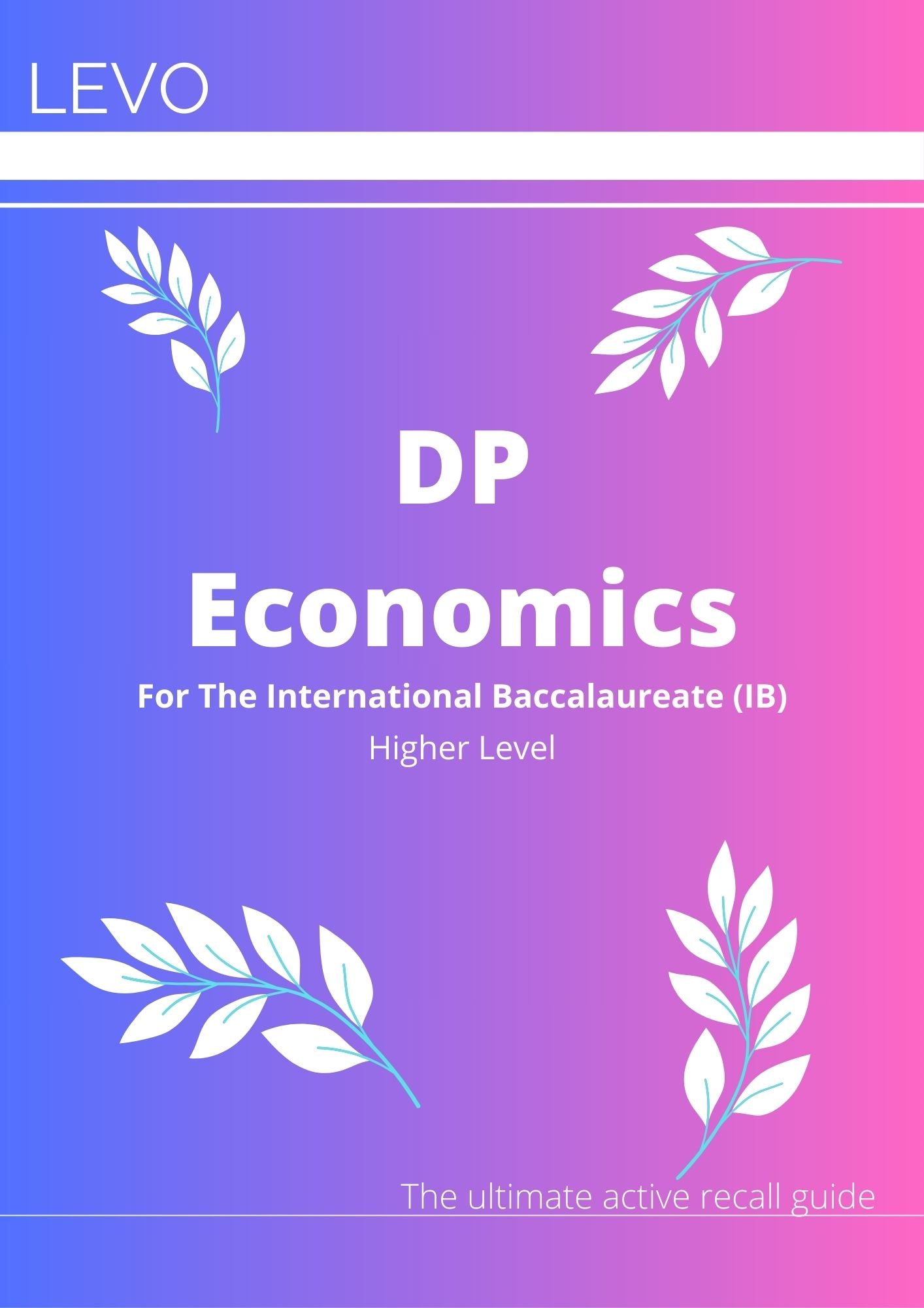 IB Economics- Diploma Programme (HL)