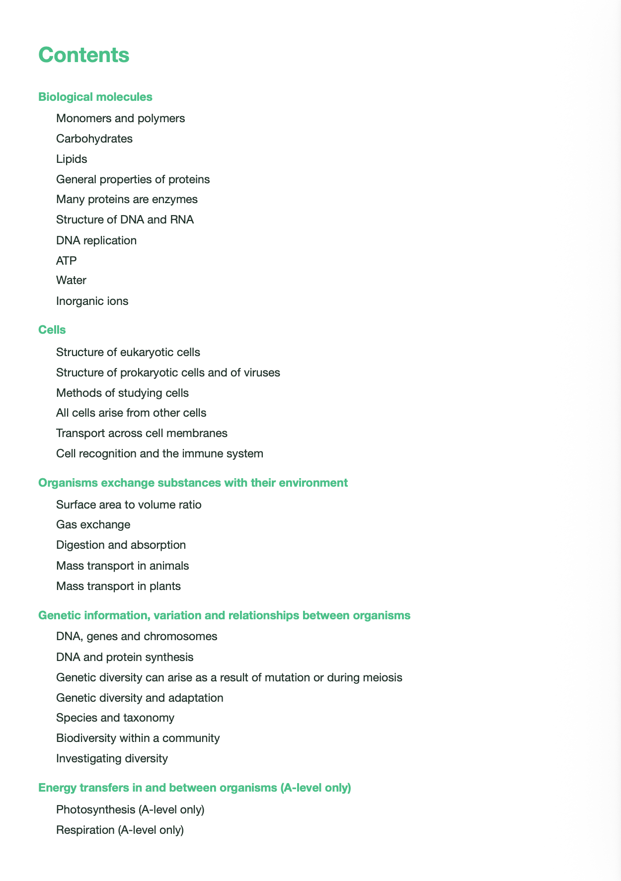 AQA A level Biology