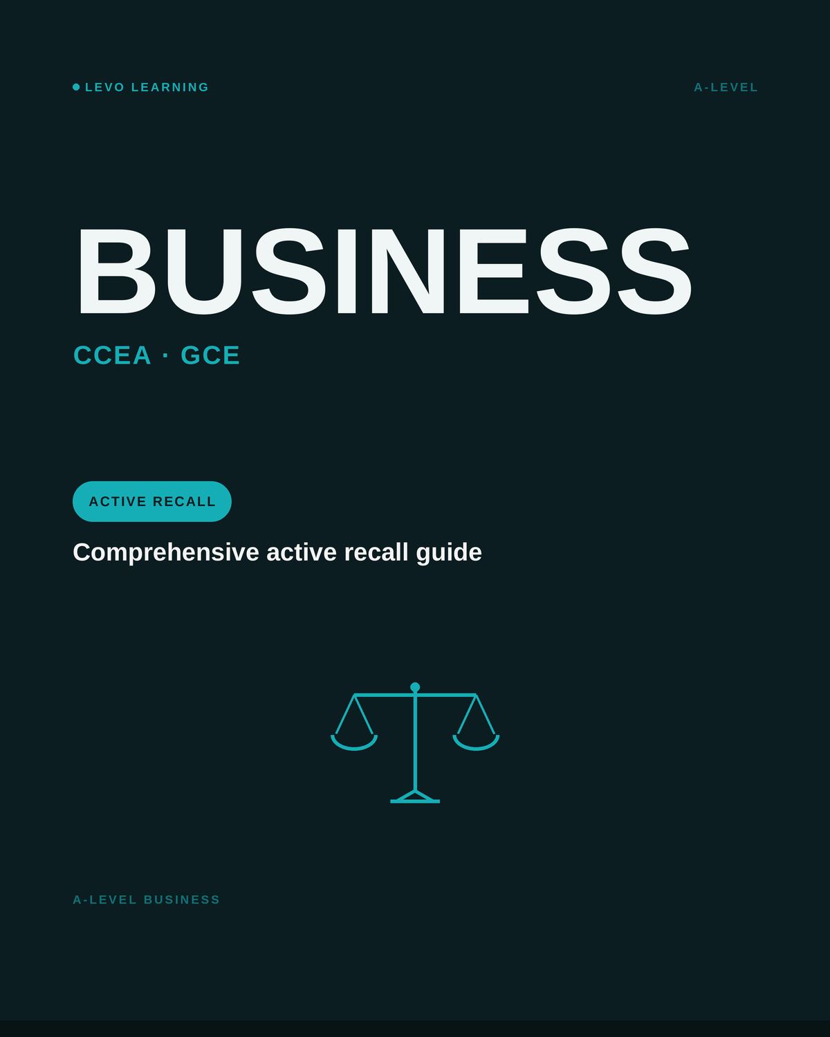 CCEA A Level Business- ACTIVE RECALL